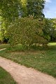 0059Arboretum Vallee aux loups